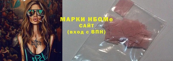 хмурый Аркадак