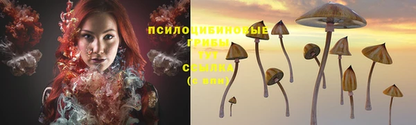 МДПВ Армянск