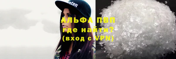 хмурый Аркадак