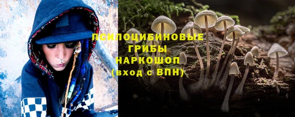 МДПВ Армянск