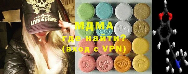хмурый Аркадак