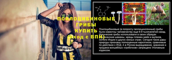 ПСИЛОЦИБИНОВЫЕ ГРИБЫ Арсеньев