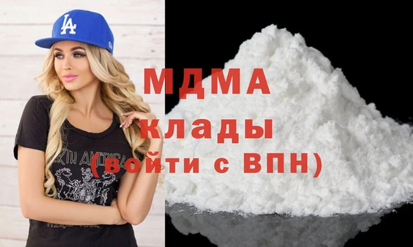 хмурый Аркадак