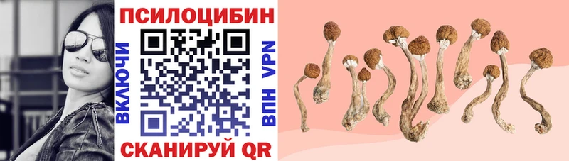 наркотики  Собинка  Галлюциногенные грибы Psilocybe 