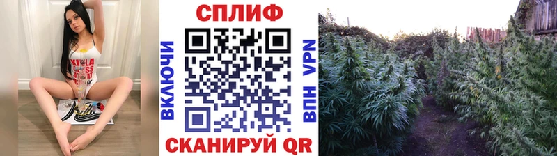 сайты даркнета как зайти  дарнет шоп  KRAKEN онион  Собинка  Канабис тримм 